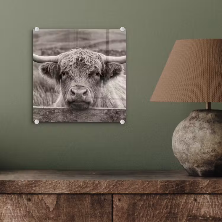 Schotse hooglander - Zwart - Wit - Hout plexiglas 5mm klein -sfeer3