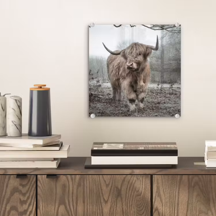 Schotse Hooglander - Bos - Mist - Koe - Dieren - Natuur plexiglas 5mm klein -sfeer1