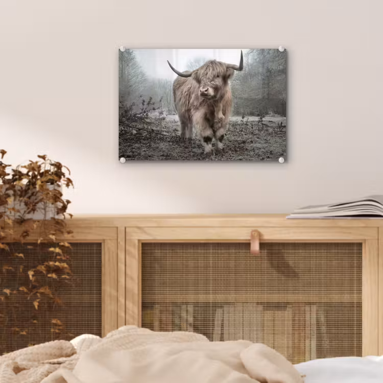 Schotse Hooglander - Bos - Mist - Koe - Dieren - Natuur plexiglas 5mm klein -sfeer3