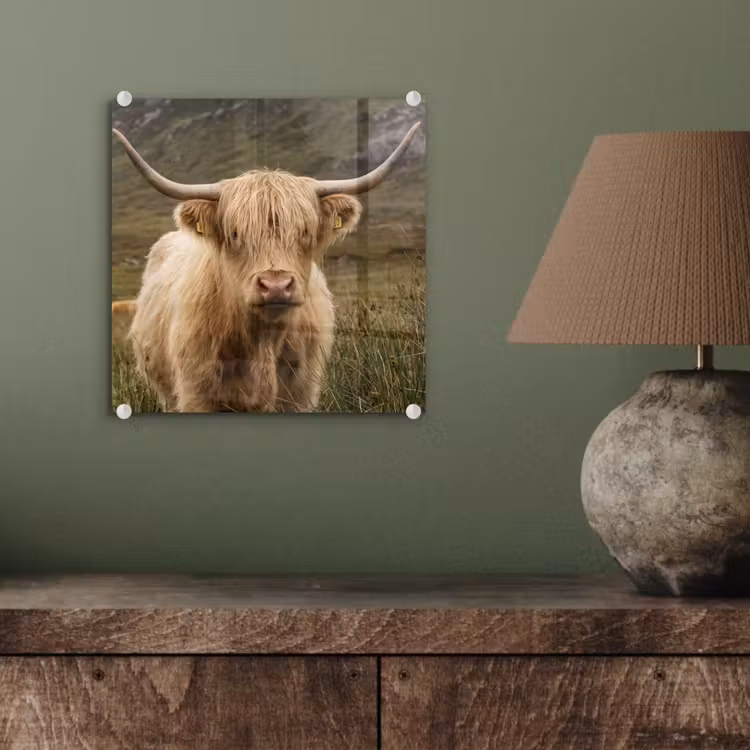 Schotse hooglander - Bergen - Grasveld plexiglas 5mm klein -sfeer3