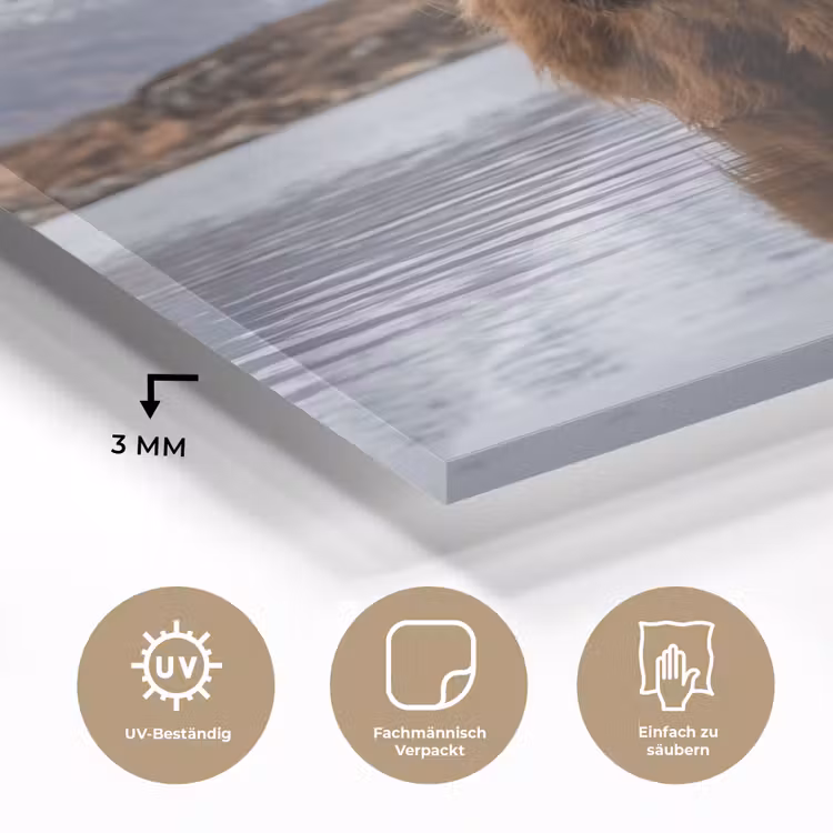 Schotse hooglander - Bruin - Water plexiglas 5mm klein -wsfeer2_DE