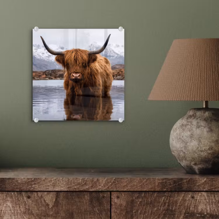Schotse hooglander - Bruin - Water plexiglas 5mm klein -sfeer3
