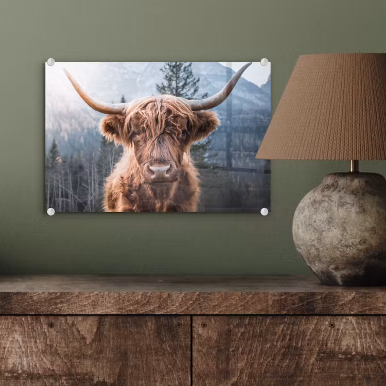 Schotse hooglander - Koe - Dieren - Berg - Natuur plexiglas 5mm klein -wsfeer2_DE