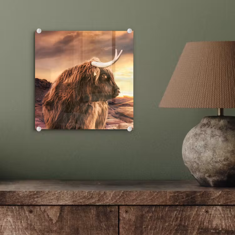 Schotse hooglander - Zon - Horizon - Koe - Dieren plexiglas 5mm klein -sfeer3