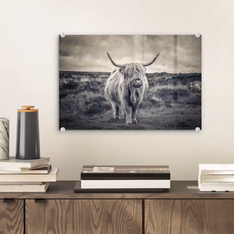 Schotse hooglander - Dieren - Wolken - Koe - Natuur plexiglas 5mm klein -sfeer1