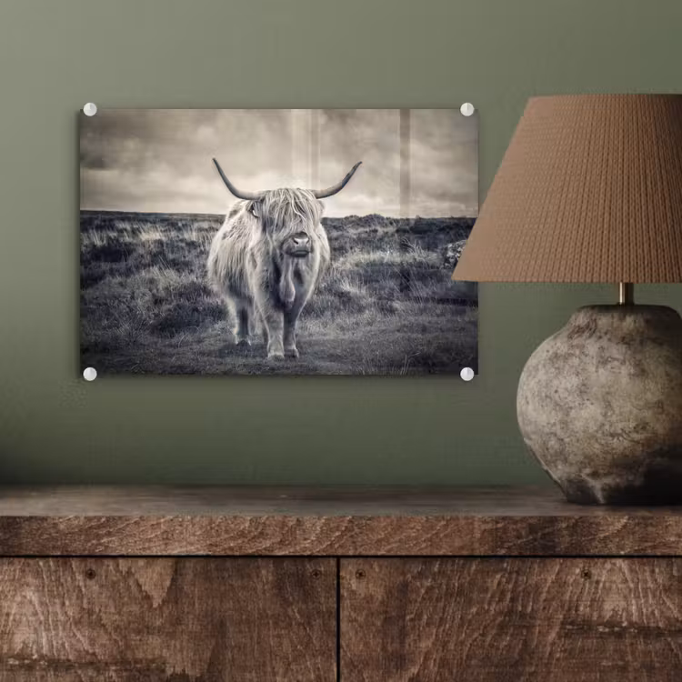 Schotse hooglander - Dieren - Wolken - Koe - Natuur plexiglas 5mm klein -wsfeer2_DE