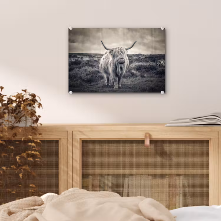 Schotse hooglander - Dieren - Wolken - Koe - Natuur plexiglas 5mm klein -sfeer3