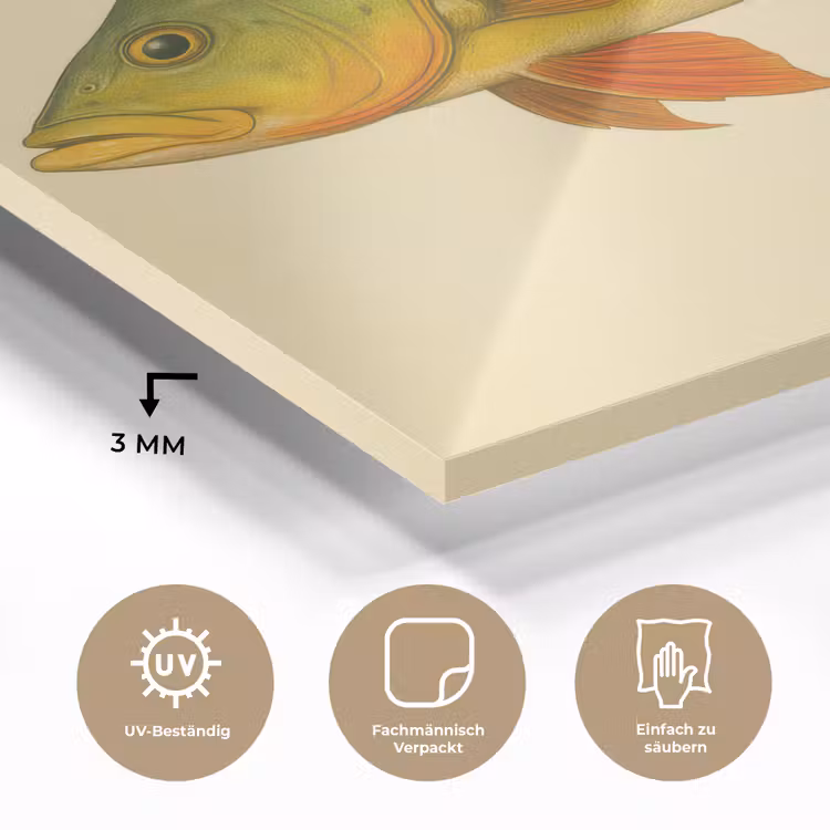 Schubben - Vis - Groen - Illustratie plexiglas 5mm klein -wsfeer2_DE