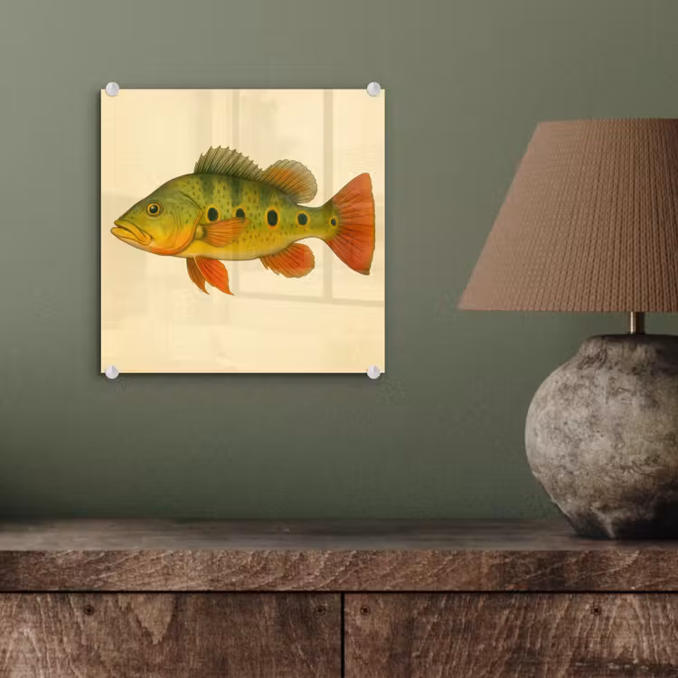 Schubben - Vis - Groen - Illustratie plexiglas 5mm klein -sfeer3
