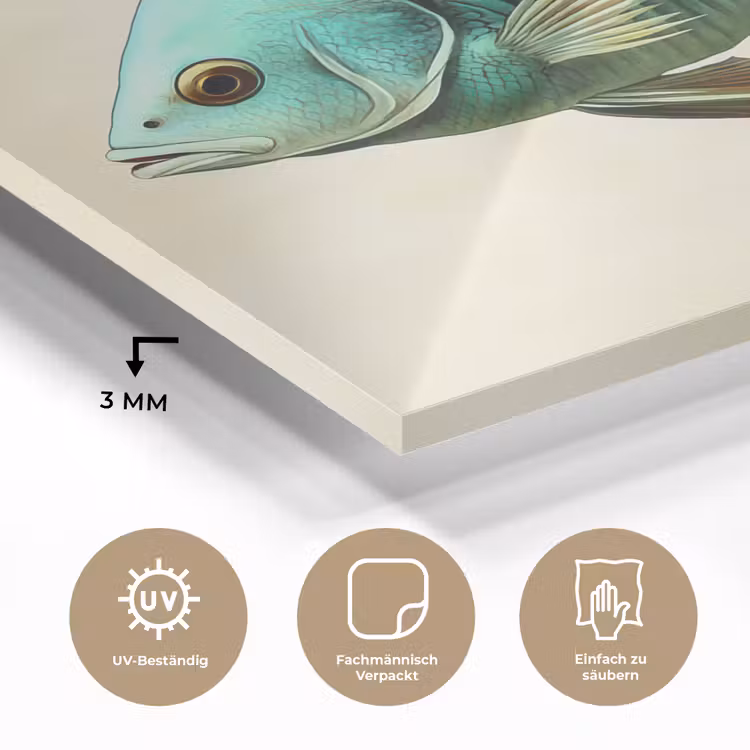 Schubben - Vis - Mint - Minimalistisch plexiglas 5mm klein -wsfeer2_DE