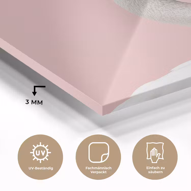 Zwaan - Koksmuts - Mooi - Klassiek plexiglas 5mm klein -wsfeer2_DE