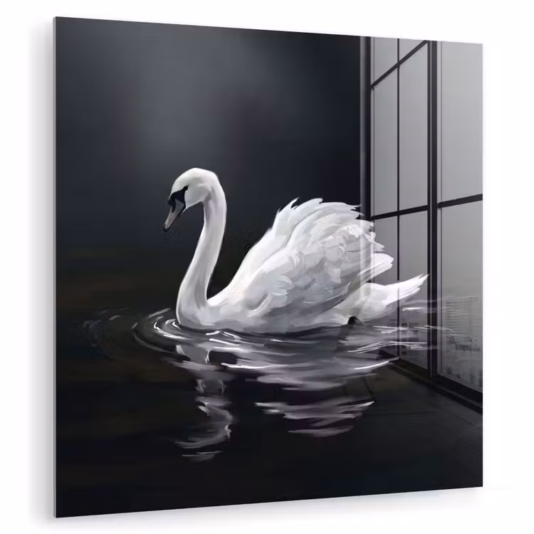 Zwaan - Water - Natuur - Realistisch - Wit plexiglas 5mm klein -zzzproduct_nieuw