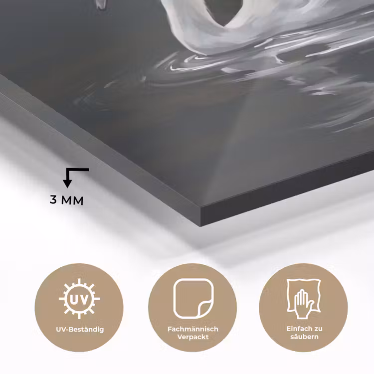 Zwaan - Water - Natuur - Realistisch - Wit plexiglas 5mm klein -wsfeer2_DE