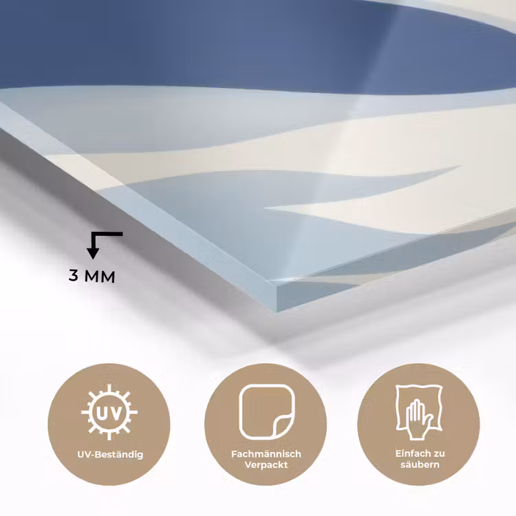 Zwaan - Wit - Snavel - Illustratie plexiglas 5mm klein -wsfeer2_DE