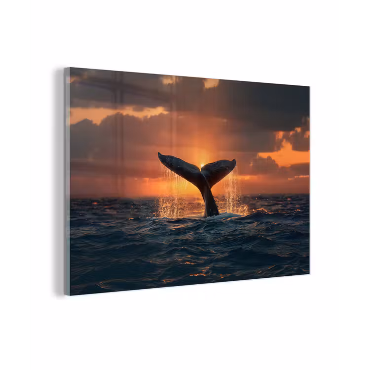 Walvis staart - Water - Zonsondergang plexiglas 5mm klein -zzzproduct_nieuw
