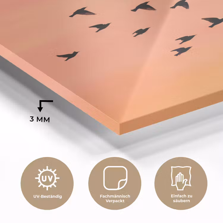 Zwerm - Vogels - Oranje plexiglas 5mm klein -wsfeer2_DE
