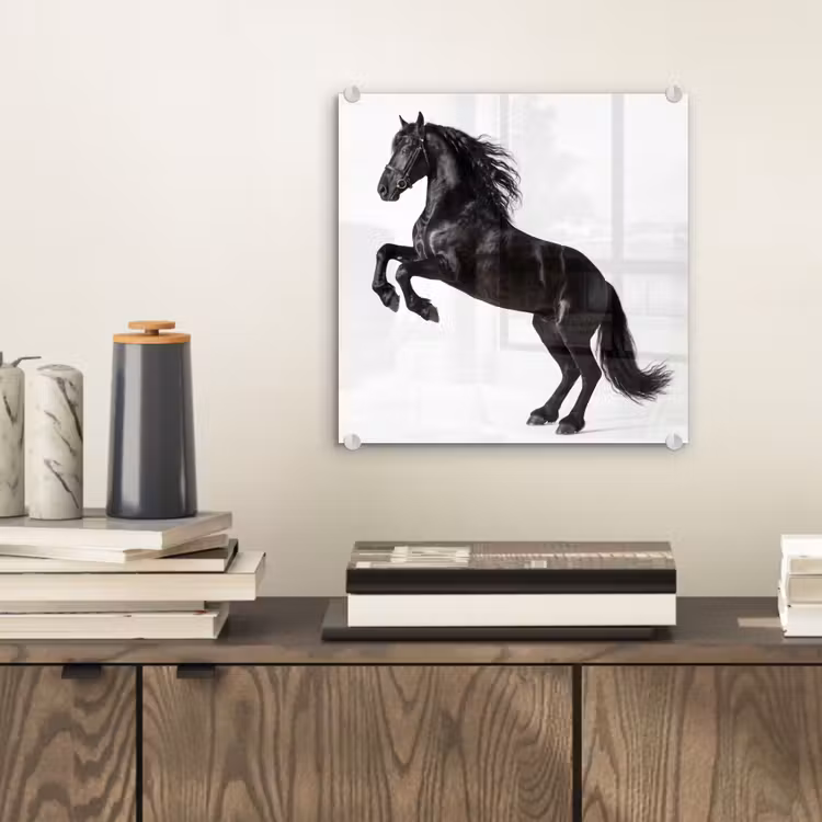 Zwart - Paard - Portret plexiglas 5mm klein -sfeer1