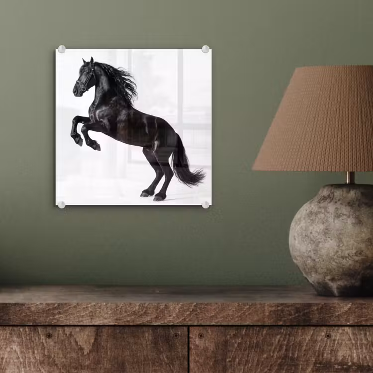 Zwart - Paard - Portret plexiglas 5mm klein -sfeer3