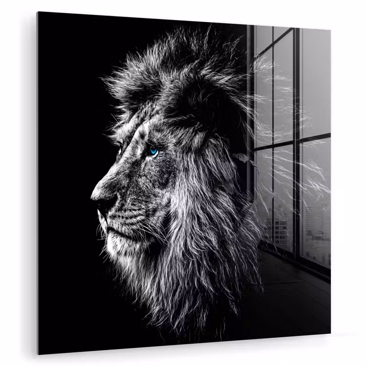 Zwart Wit - Leeuw - Kop - Dieren plexiglas 5mm klein -zzzproduct_nieuw