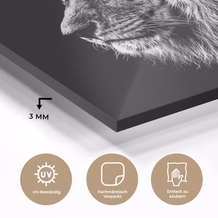 Zwart Wit - Leeuw - Kop - Dieren plexiglas 5mm klein -wsfeer2_DE