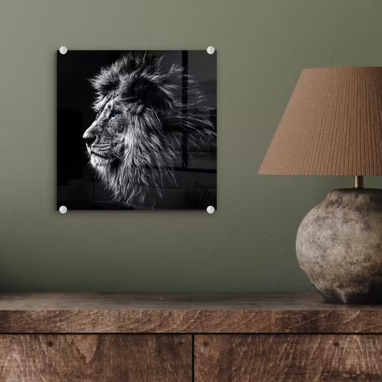 Zwart Wit - Leeuw - Kop - Dieren plexiglas 5mm klein -sfeer3