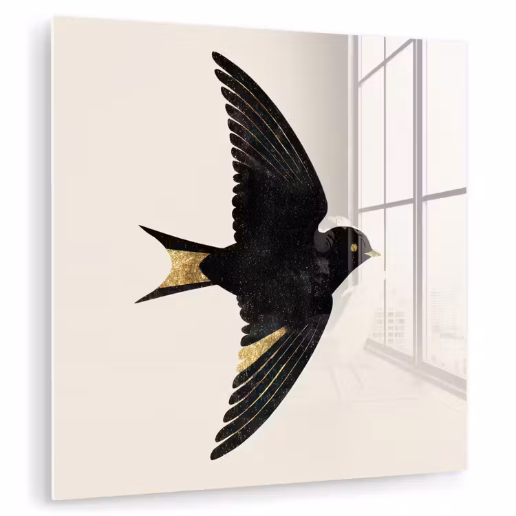Zwarte zwaluw - Gouden accenten - Lichte achtergrond plexiglas 5mm klein -zzzproduct_nieuw