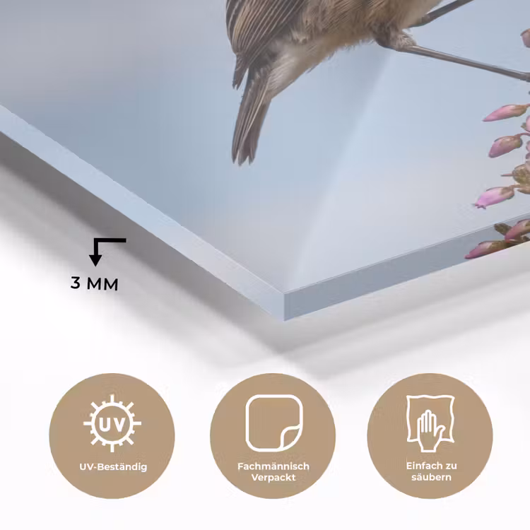 Roodborsttapuit - Heide - Paars - Natuur - Sfeervol plexiglas 5mm klein -wsfeer2_DE
