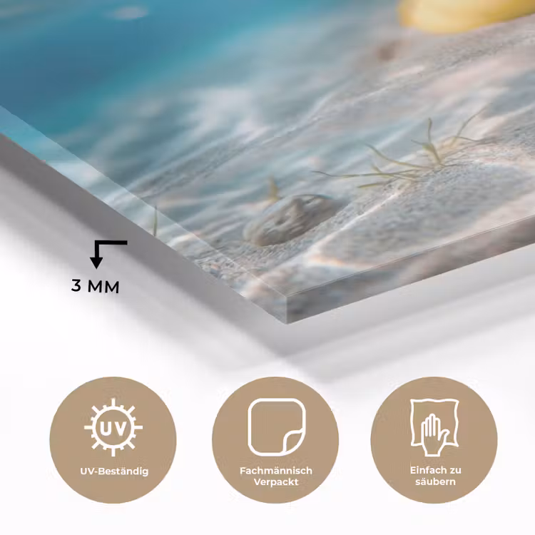 Duikbril - Eend - Water plexiglas 5mm klein -wsfeer2_DE