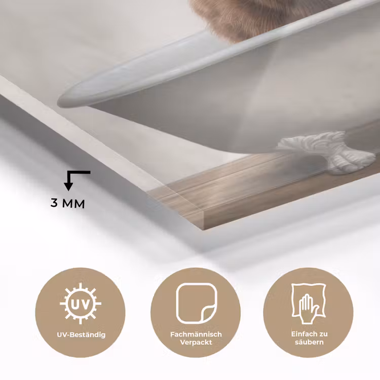 Schotse hooglander - Bad - Badkamer - Badkuip - Bruin - Horens plexiglas 5mm klein -wsfeer2_DE
