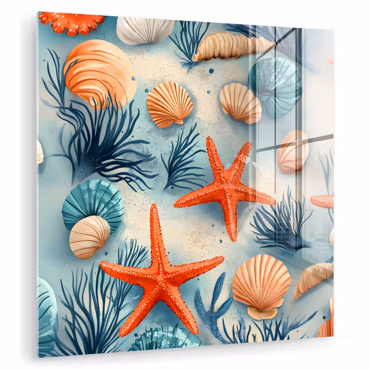 Zeesterren - Schelpen - Illustratie - Zand plexiglas 5mm klein -zzzproduct_nieuw