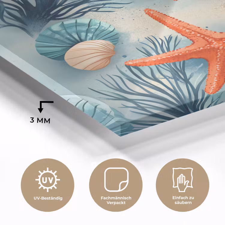 Zeesterren - Schelpen - Illustratie - Zand plexiglas 5mm klein -wsfeer2_DE