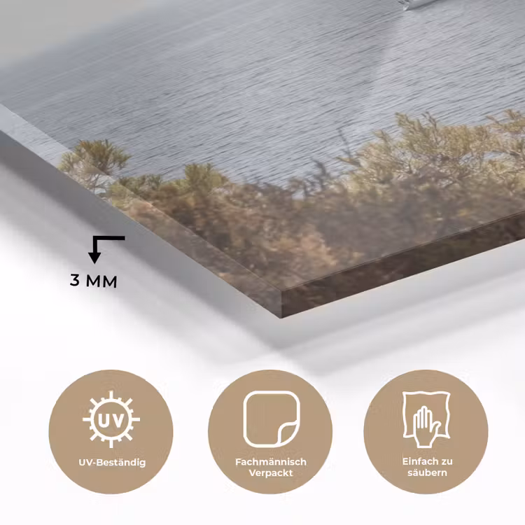 Glasbild - Segelboot – Bäume – Wasser - Zeilboot - bomen - water plexiglas 5mm klein