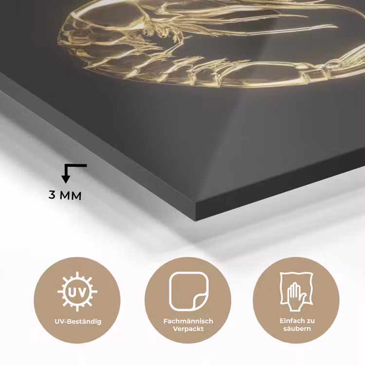 Garnalen - Zwart - Goud - Dieren plexiglas 5mm klein -wsfeer2_DE