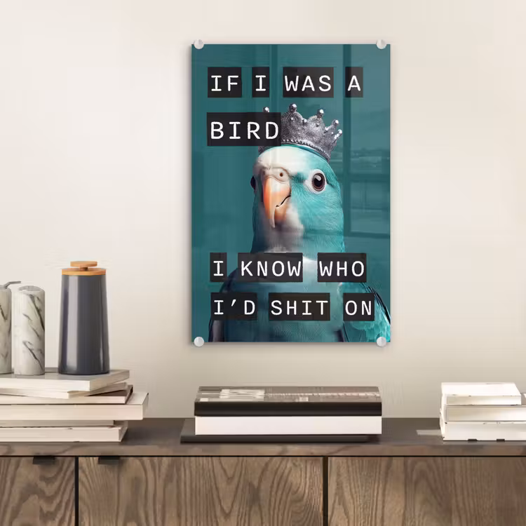 Parkiet - Turquoise - Quotes - Decoratie plexiglas 5mm klein -sfeer1