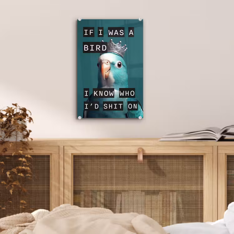 Parkiet - Turquoise - Quotes - Decoratie plexiglas 5mm klein -sfeer4