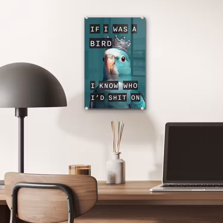 Parkiet - Turquoise - Quotes - Decoratie plexiglas 5mm klein -sfeer6