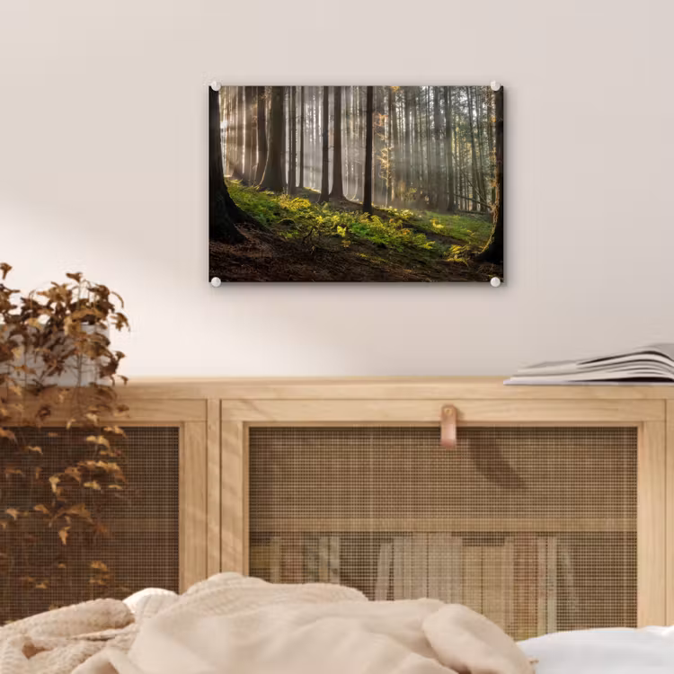 Zon - Takken - Bomen - Bos - Natuur plexiglas 5mm klein -sfeer4