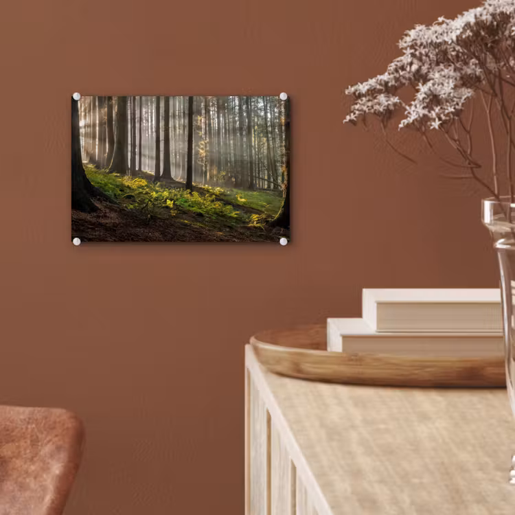 Zon - Takken - Bomen - Bos - Natuur plexiglas 5mm klein -sfeer5