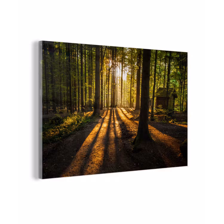Zon - Bomen - Bos - Landschap - Natuur plexiglas 5mm klein -z3d
