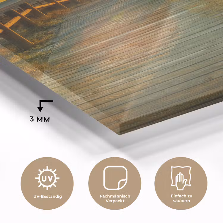 Zon - Strand - Duin - Horizon - Gras - Pad - Oranje plexiglas 5mm klein -wsfeer2_DE