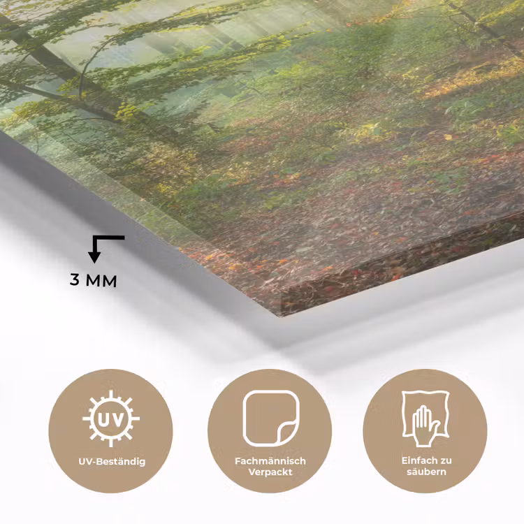 Zon - Bos - Bomen - Natuur - Herfst plexiglas 5mm klein -wsfeer2_DE