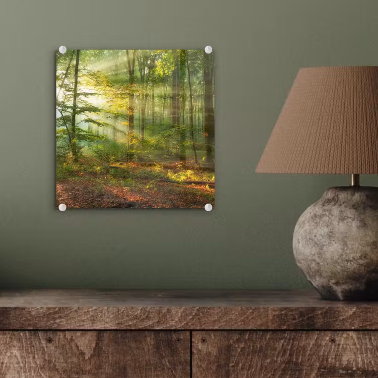 Zon - Bos - Bomen - Natuur - Herfst plexiglas 5mm klein -sfeer3