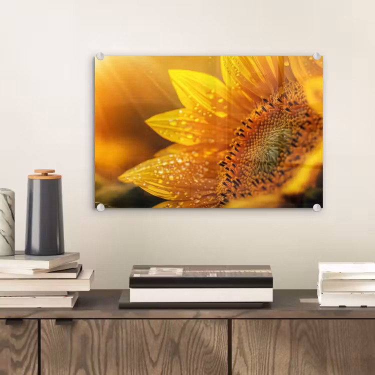 Zonnebloem - Dauwdruppels - Geel - Zonlicht plexiglas 5mm klein -sfeer1