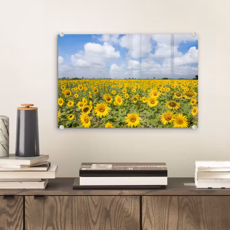 Zonnebloemen - Bloemen - Wolken - Natuur - Geel - Landschap plexiglas 5mm klein -sfeer1