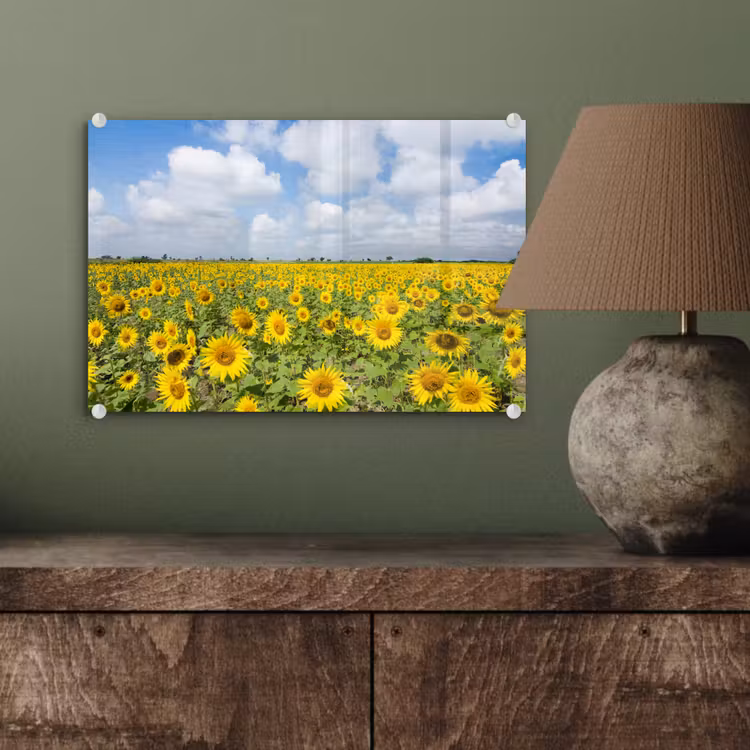 Zonnebloemen - Bloemen - Wolken - Natuur - Geel - Landschap plexiglas 5mm klein -wsfeer2_DE