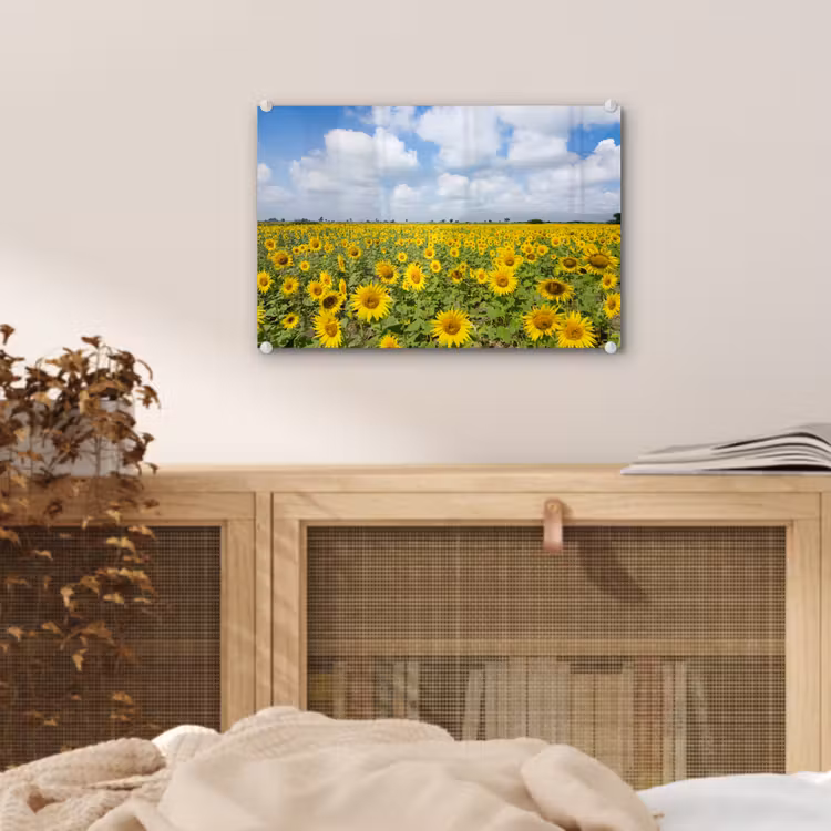 Zonnebloemen - Bloemen - Wolken - Natuur - Geel - Landschap plexiglas 5mm klein -sfeer3