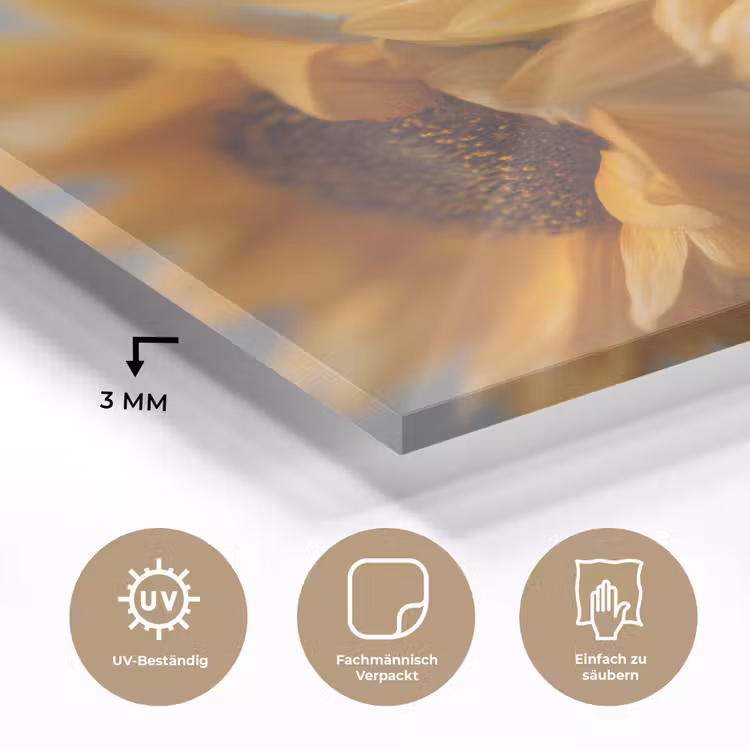 Zonnebloemen - Geel - Wazig plexiglas 5mm klein -wsfeer2_DE