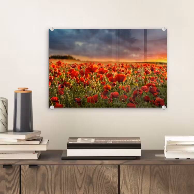 Zonsondergang - Klaprozen - Rood - Bloemen - Veld - Natuur plexiglas 5mm klein -sfeer1