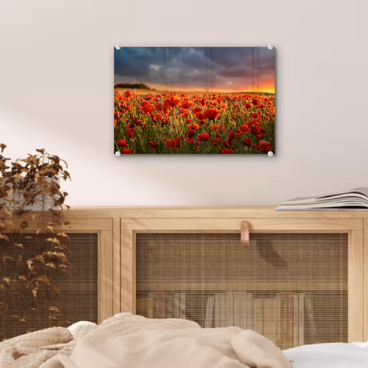 Zonsondergang - Klaprozen - Rood - Bloemen - Veld - Natuur plexiglas 5mm klein -sfeer3