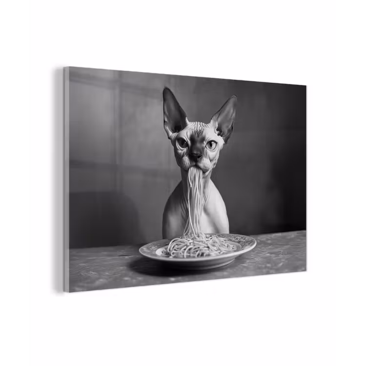 Sphynx - Kat - Dieren - Humor - Spaghetti - Zwart Wit plexiglas 5mm klein -zzzproduct_nieuw